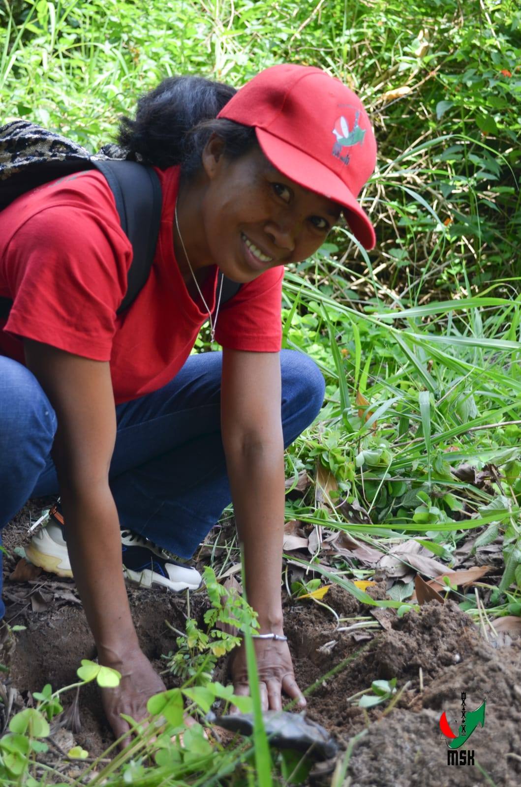 AVERINA HO VOHITRA MAITSO I AMBOHIMANGA ROVA