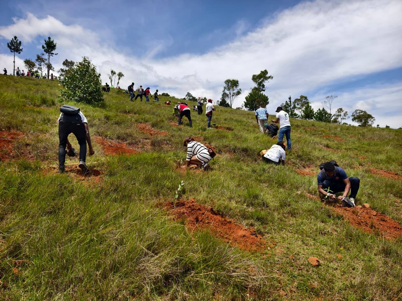 2026: TAONA IRAISAM-PIRENENA HO AN' NY FIROTSAHANA AN-TSITRAPO NOSANTARINA TAMIN' NY HETSIKA FAMBOLEN-KAZO