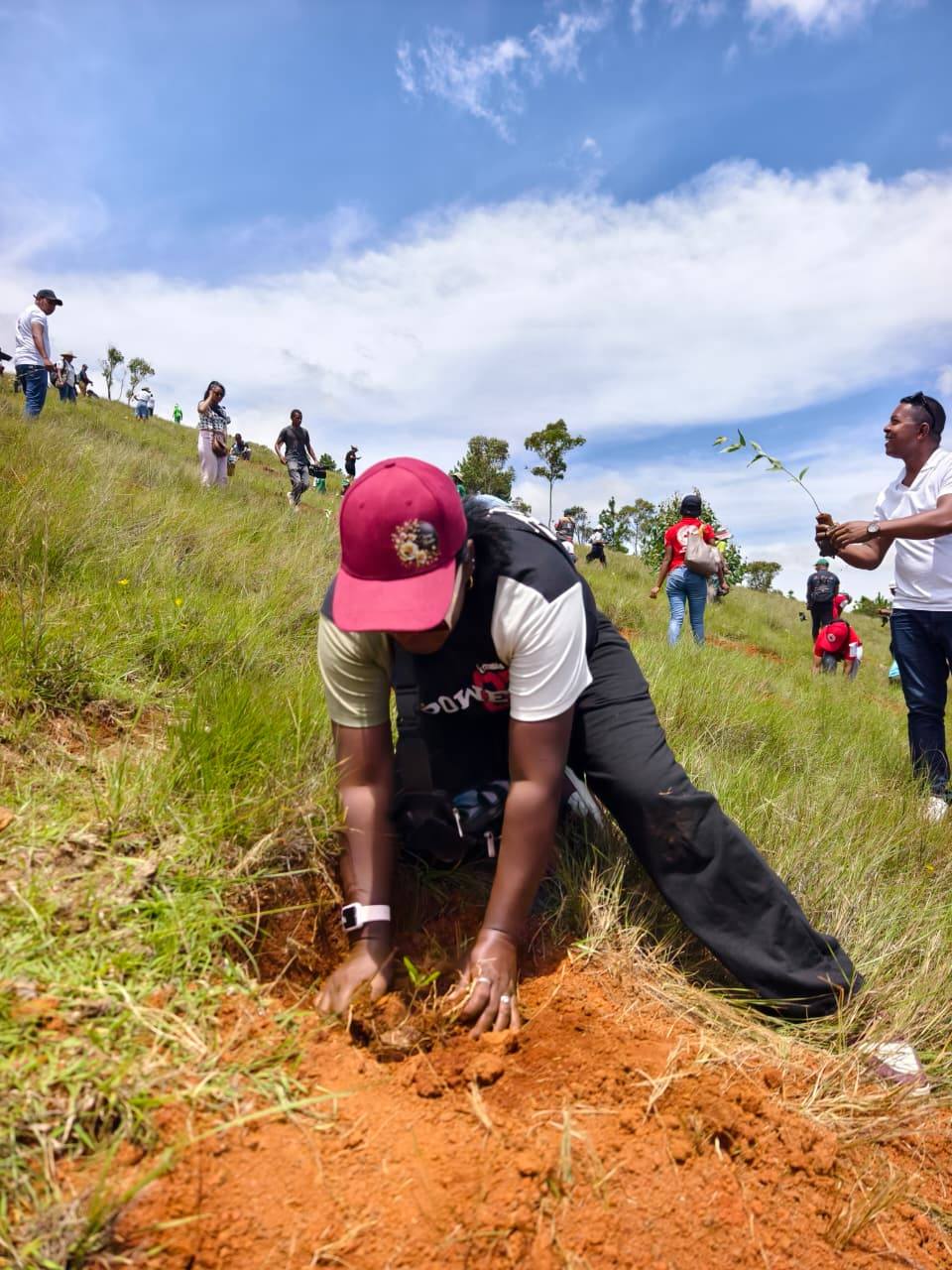 2026: TAONA IRAISAM-PIRENENA HO AN' NY FIROTSAHANA AN-TSITRAPO NOSANTARINA TAMIN' NY HETSIKA FAMBOLEN-KAZO