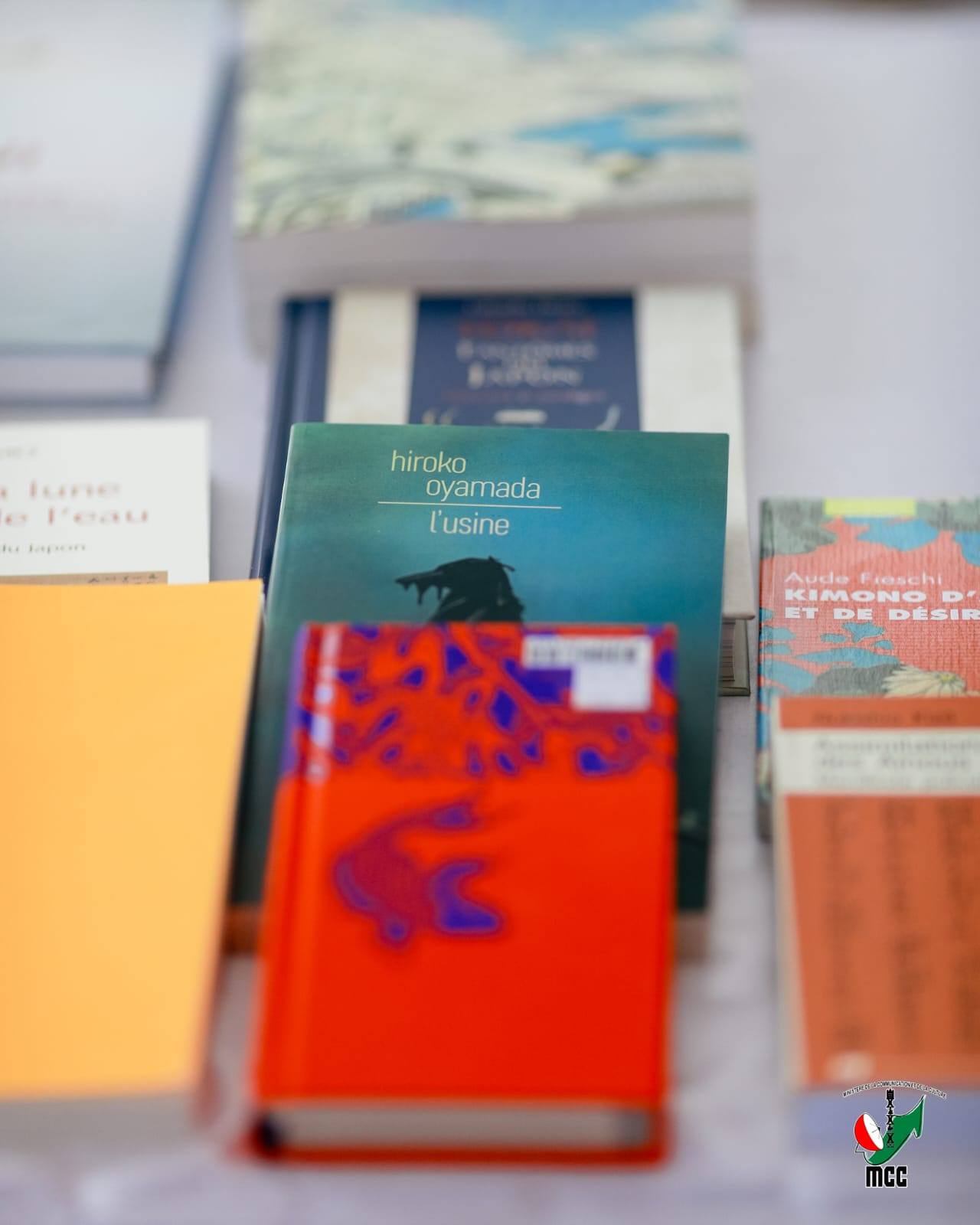 TSY FANOMEZANA TSOTRA FOTSINY IHANY NY LANONANA FANOLORANA BOKY FA FANEHOANA FASAKAIZANA, FIARAHA-MIASA ARY FITOKISANA LALINA