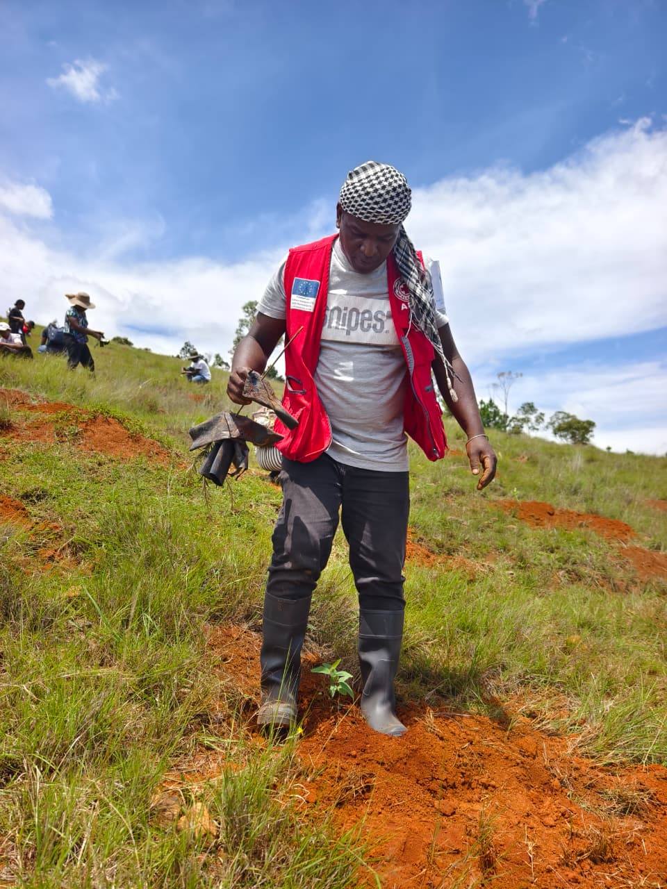 2026: TAONA IRAISAM-PIRENENA HO AN' NY FIROTSAHANA AN-TSITRAPO NOSANTARINA TAMIN' NY HETSIKA FAMBOLEN-KAZO