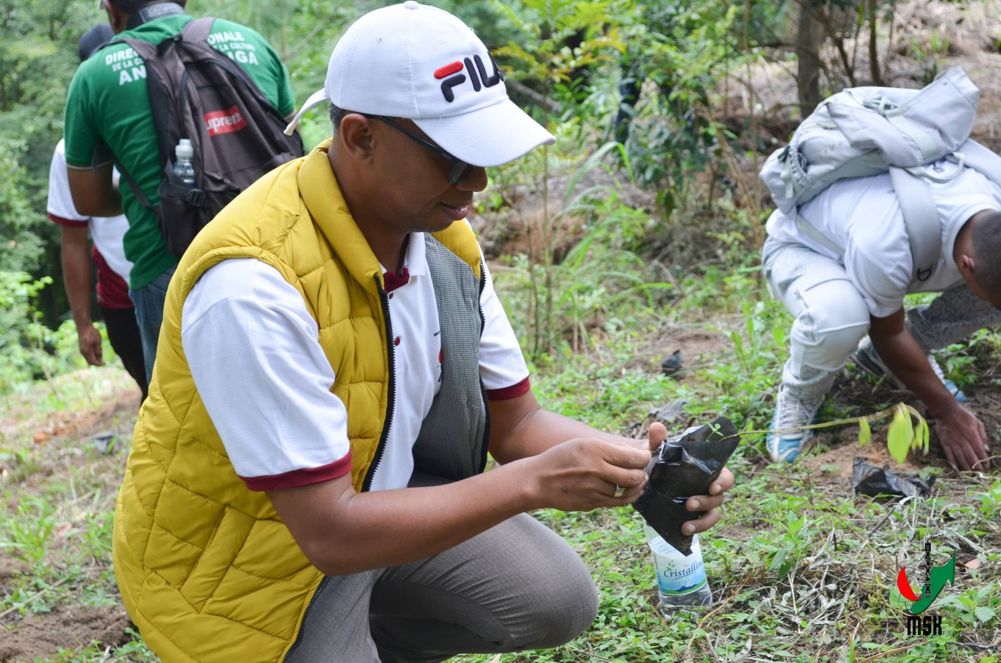 AVERINA HO VOHITRA MAITSO I AMBOHIMANGA ROVA