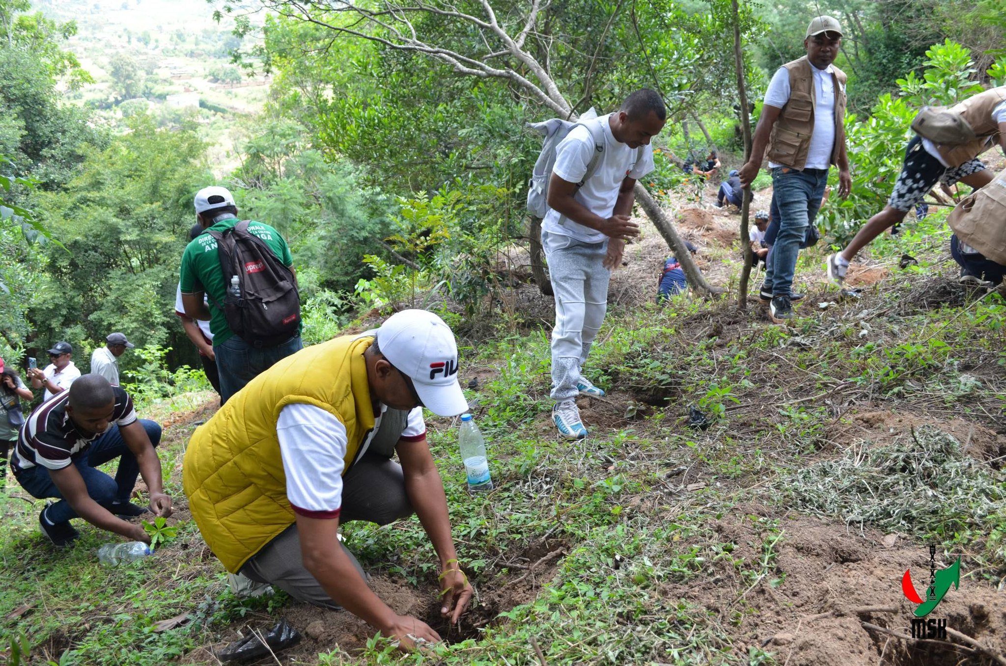 AVERINA HO VOHITRA MAITSO I AMBOHIMANGA ROVA