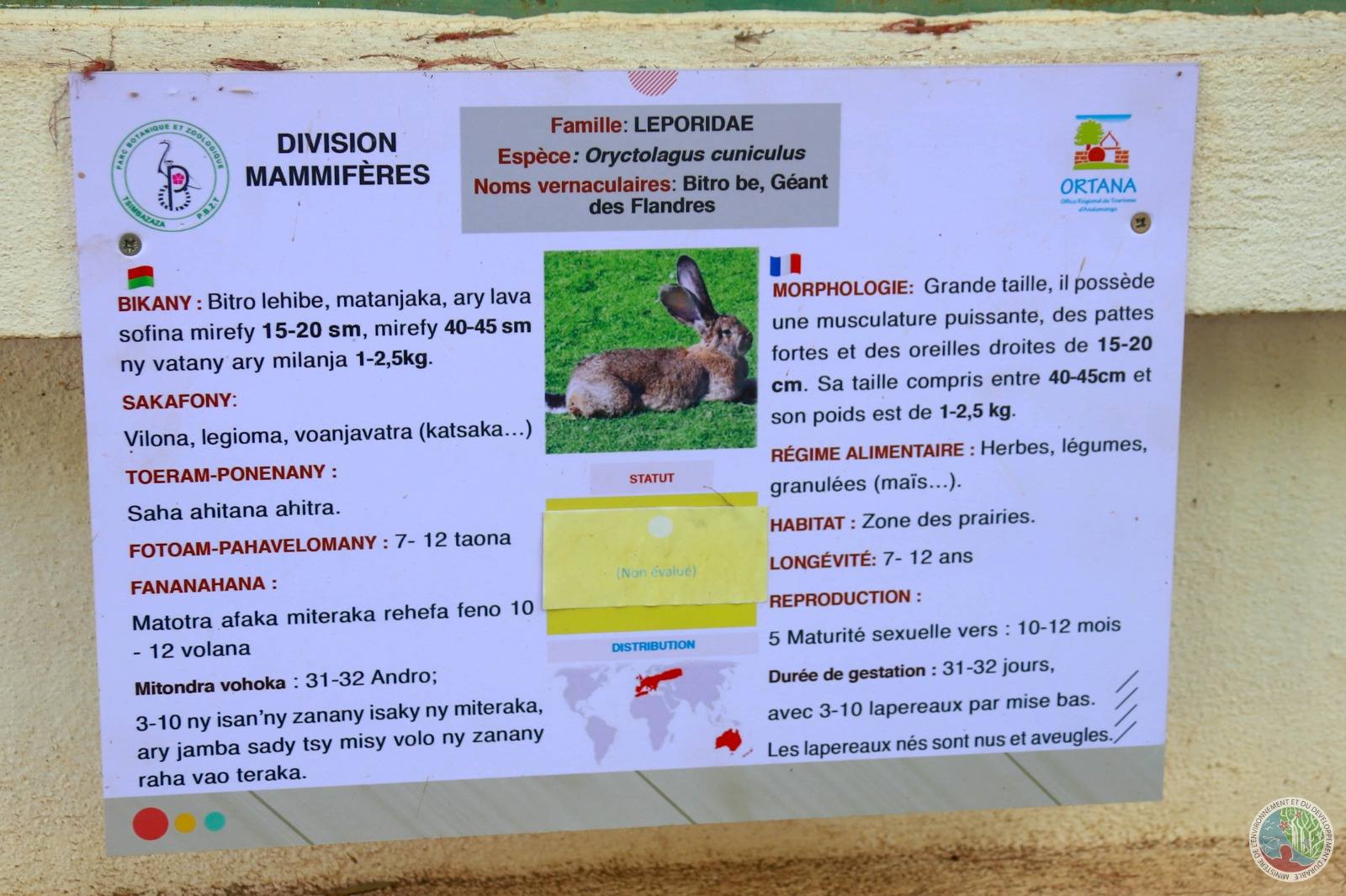 HAVAOZINA NY PARC TSIMBAZAZA