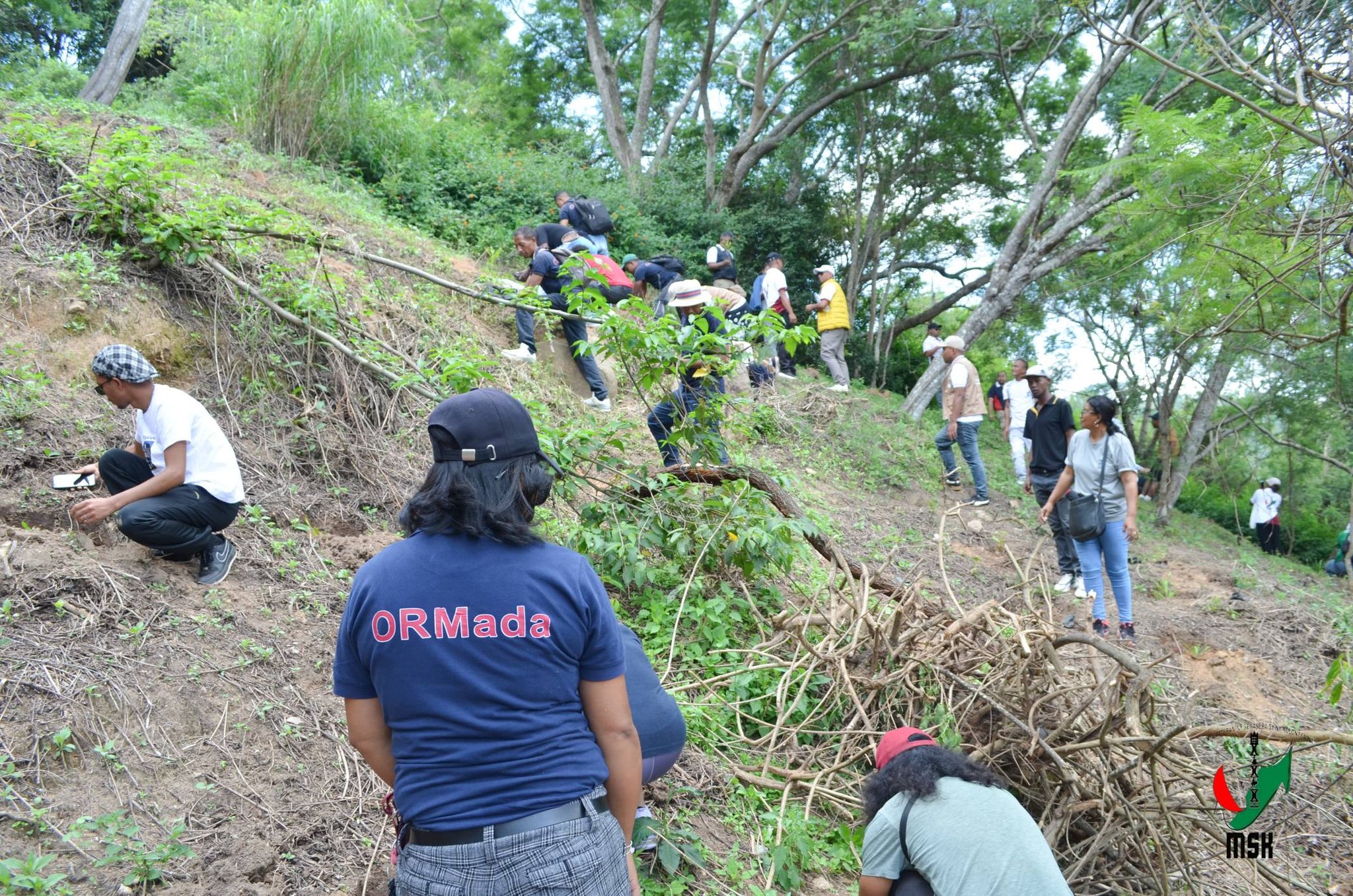 AVERINA HO VOHITRA MAITSO I AMBOHIMANGA ROVA