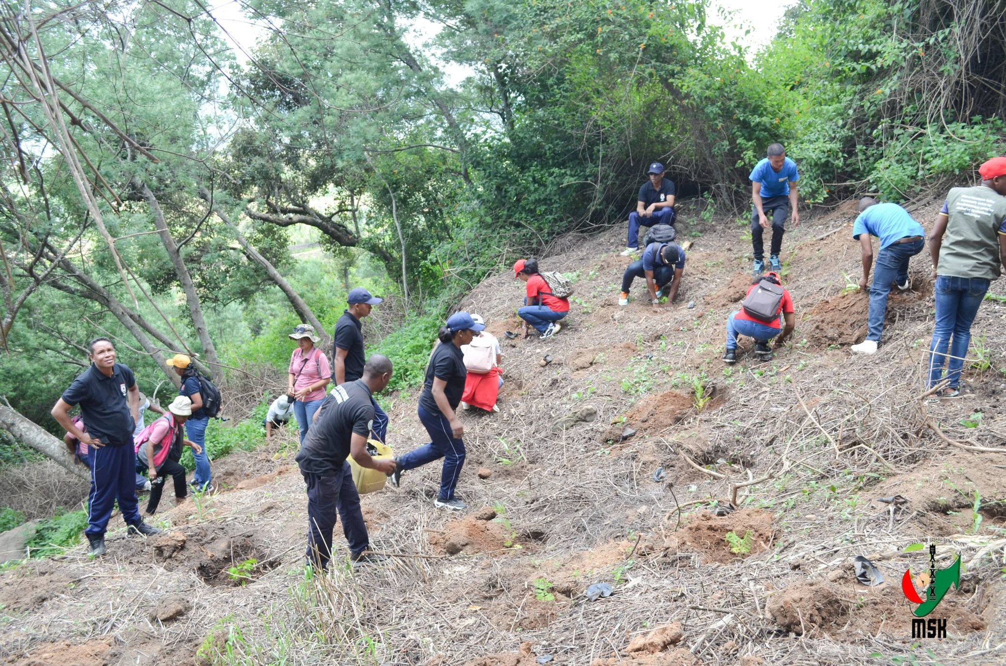 AVERINA HO VOHITRA MAITSO I AMBOHIMANGA ROVA