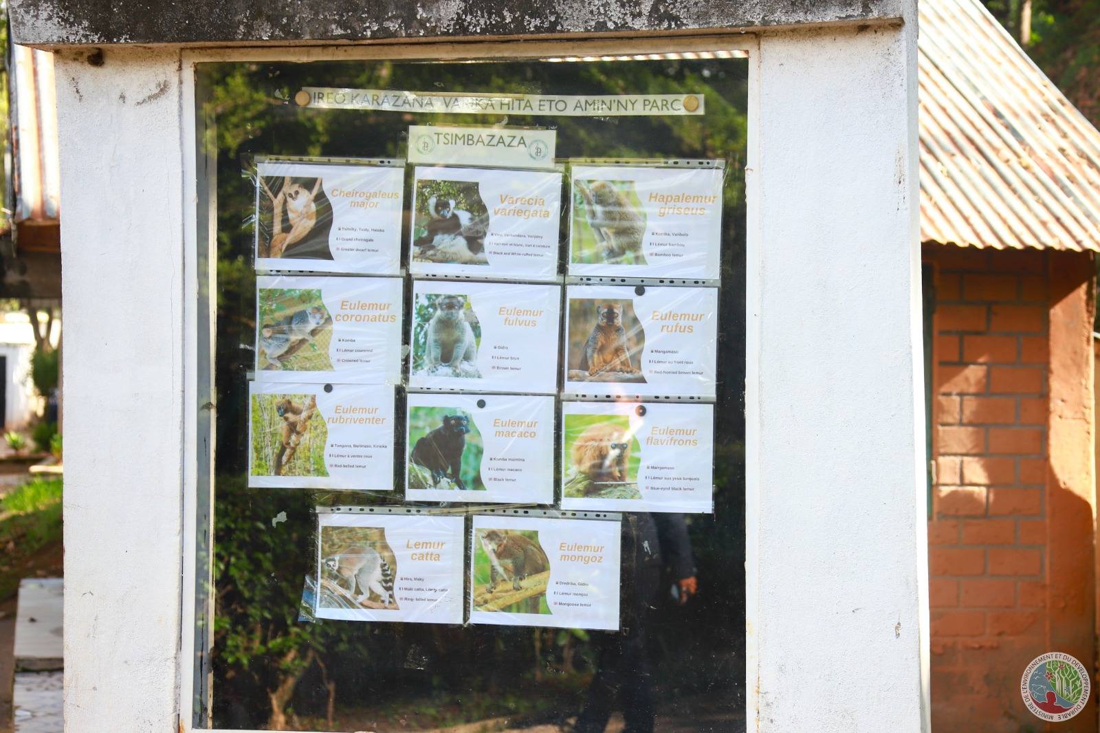 HAVAOZINA NY PARC TSIMBAZAZA