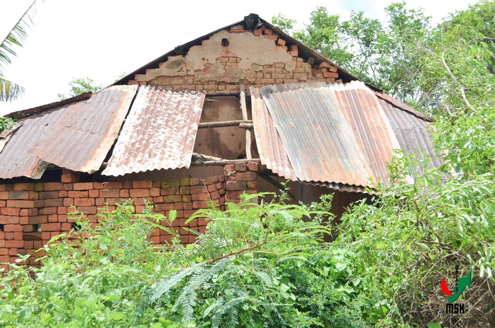 MIROTSAKA ENY AN-KIANJA NY FITONDRAM-PANJAKANA MANONTOLO MANAO TANAN-DAVA MAMONJY NY MPIRAY TANINDRAZANA