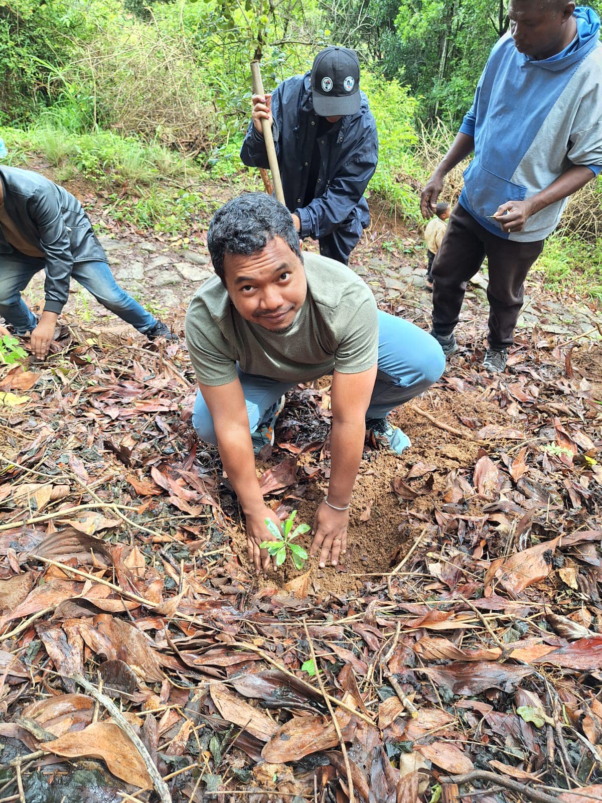 FANASOSOHANA ZANAKA HAZO NY ALAN' AMBOHIMANGA