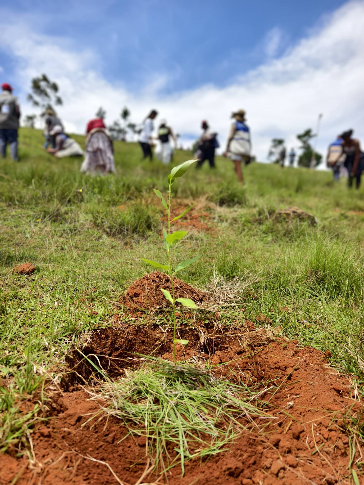 2026: TAONA IRAISAM-PIRENENA HO AN' NY FIROTSAHANA AN-TSITRAPO NOSANTARINA TAMIN' NY HETSIKA FAMBOLEN-KAZO