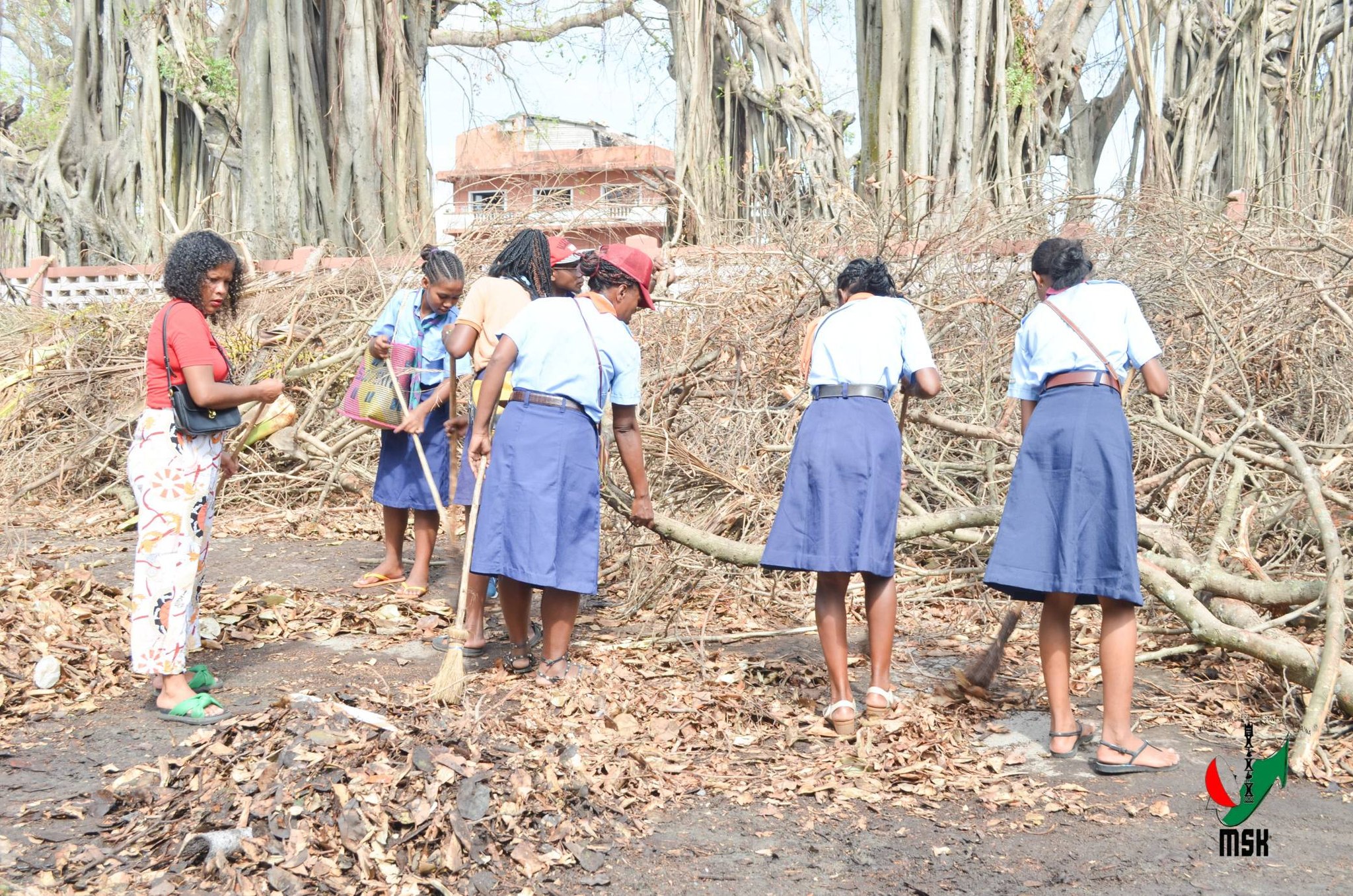 MPIROTSAKA AN-TSITRAPO MARO NO NIARA-NIENTANA TAMIN' NY MINISTERAN' NY SERASERA SY NY KOLONTSAINA NANADIO NY MOZEA VAVITIANA TOAMASINA