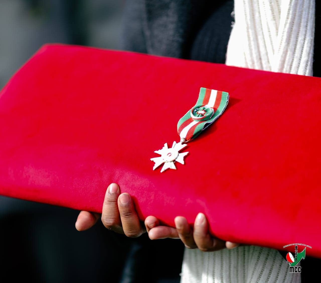 " OFFICIER DE L' ORDRE NATIONAL MALAGASY " IO NO MARI-BONINAHITRA NATOLOTRY NY FILOHAN' NY REPOBLIKA ANDRY RAJOELINA HO FANOMEZAM-BONINAHITRA AN' I SAHONDRAFININA ZANANY, MPIHIRAGASY