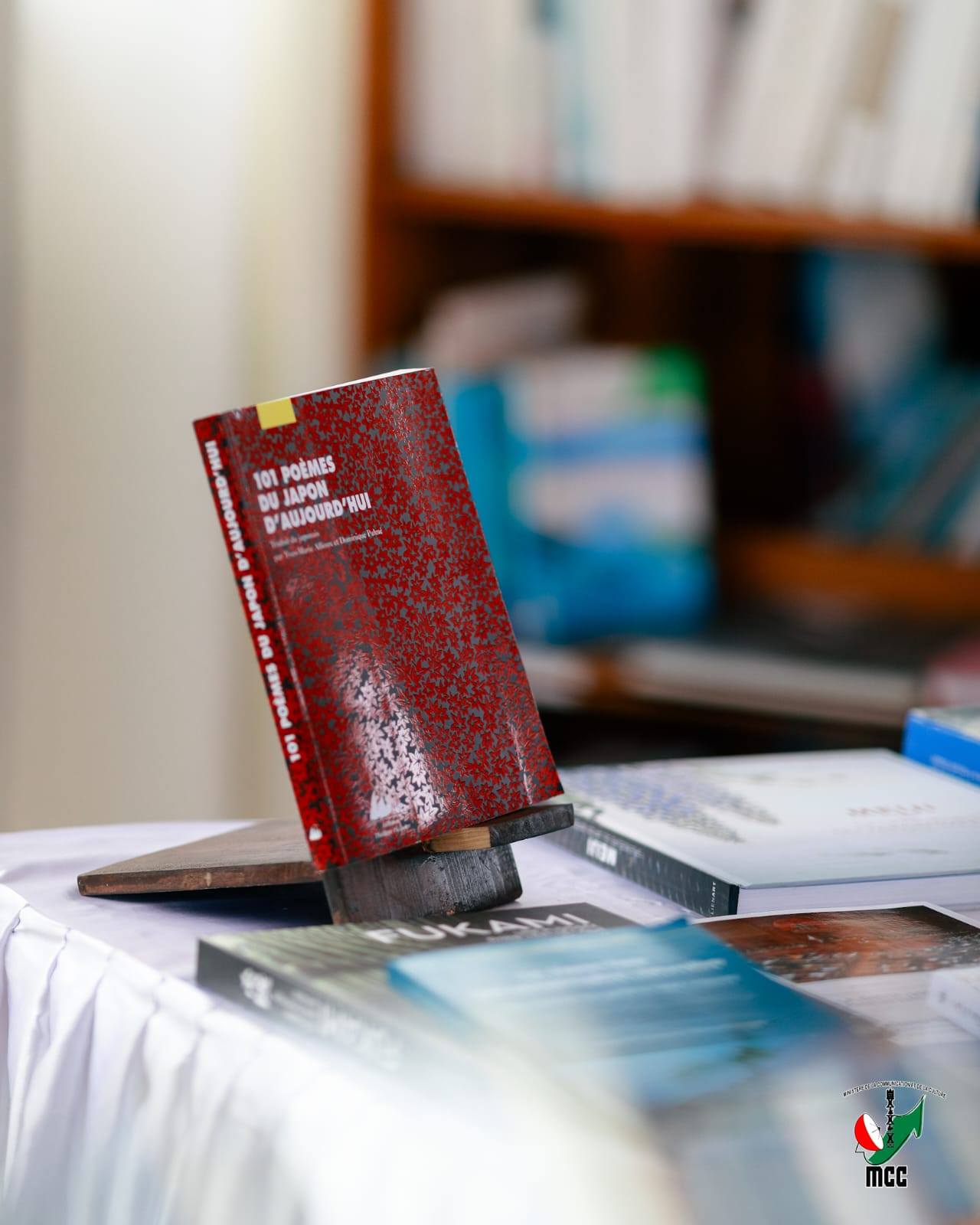 TSY FANOMEZANA TSOTRA FOTSINY IHANY NY LANONANA FANOLORANA BOKY FA FANEHOANA FASAKAIZANA, FIARAHA-MIASA ARY FITOKISANA LALINA