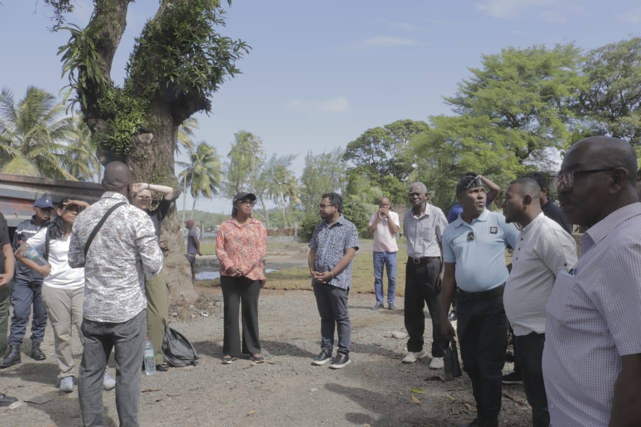 KOLONTSAINA - HAREMBAKOKA