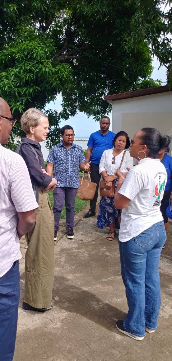 KOLONTSAINA - HAREMBAKOKA