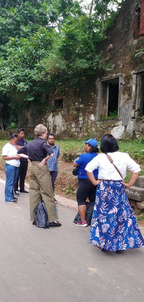 KOLONTSAINA - HAREMBAKOKA