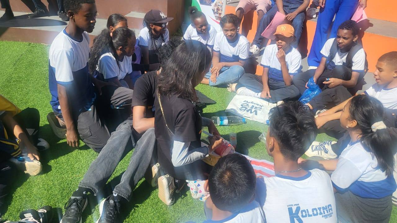 NOSY HO AMIN’NY HOAVY TSY MISY FANDOTOANA PLASTIKA