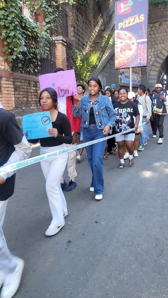 NOSY HO AMIN’NY HOAVY TSY MISY FANDOTOANA PLASTIKA