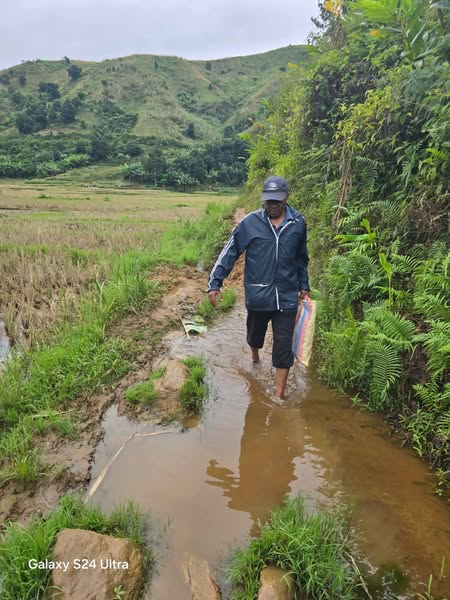 TRANGA TAZOMOKA ANY IKONGO