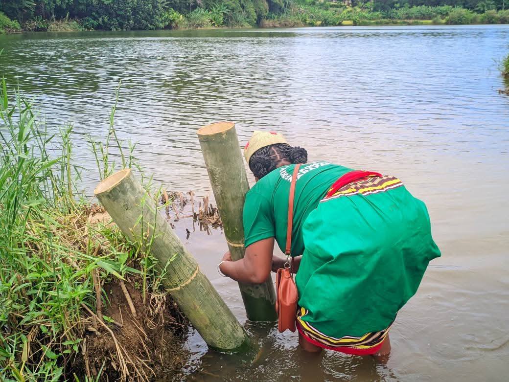 FARAFANGANA, 31 Oktobra 2025