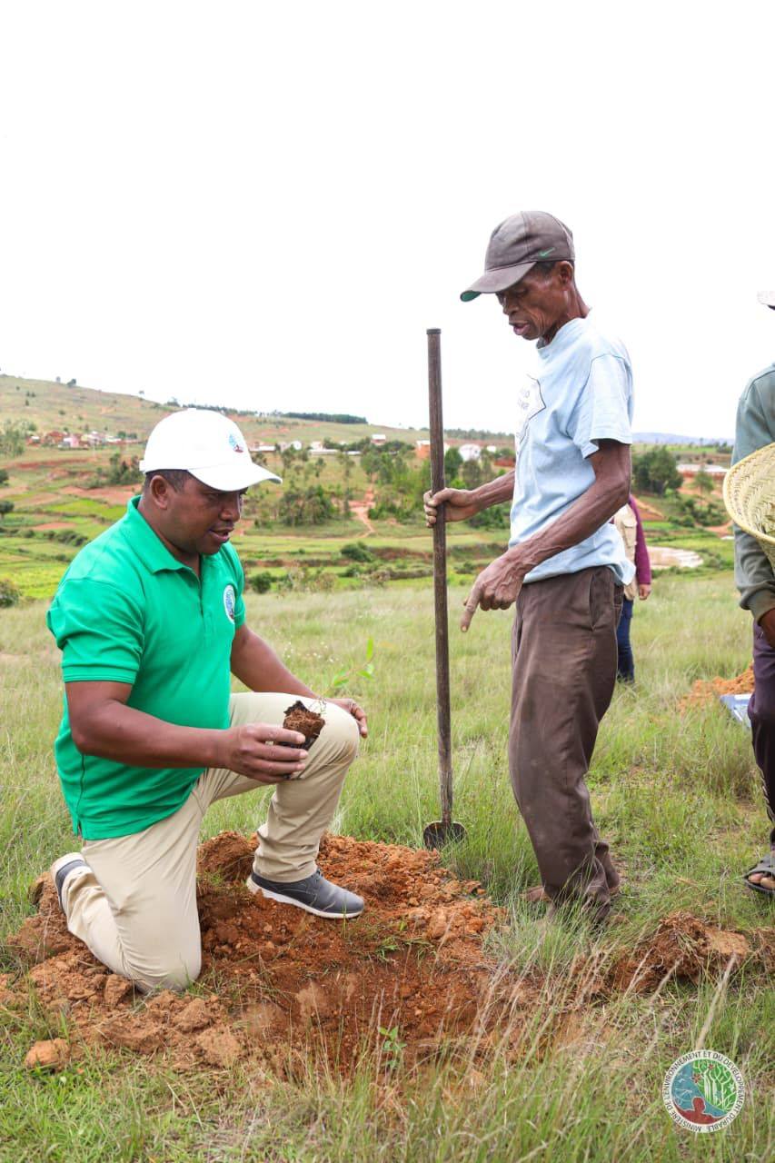 IZAY MAMBOLY HAZO MANOME AINA