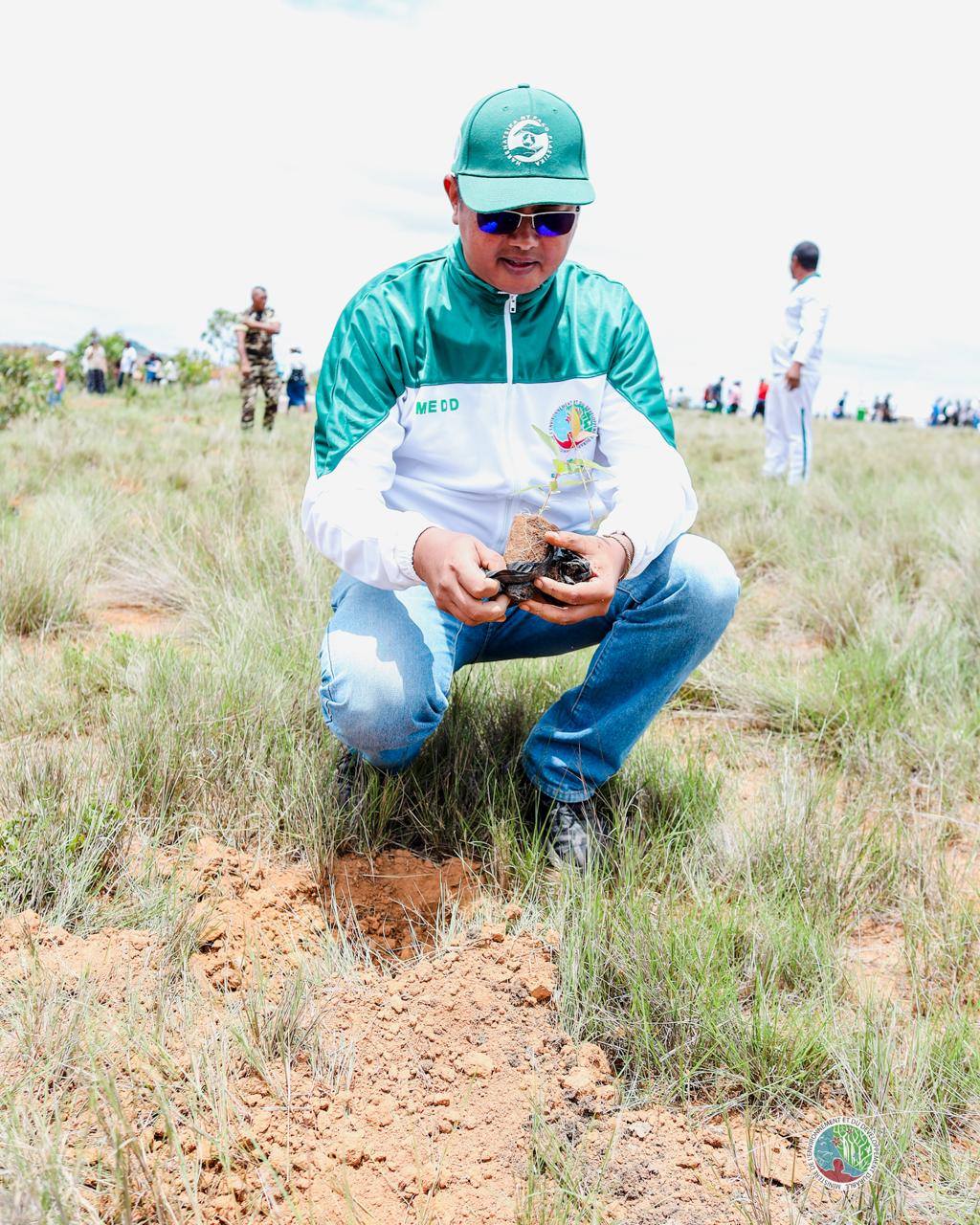 IZAY MAMBOLY HAZO MANOME AINA