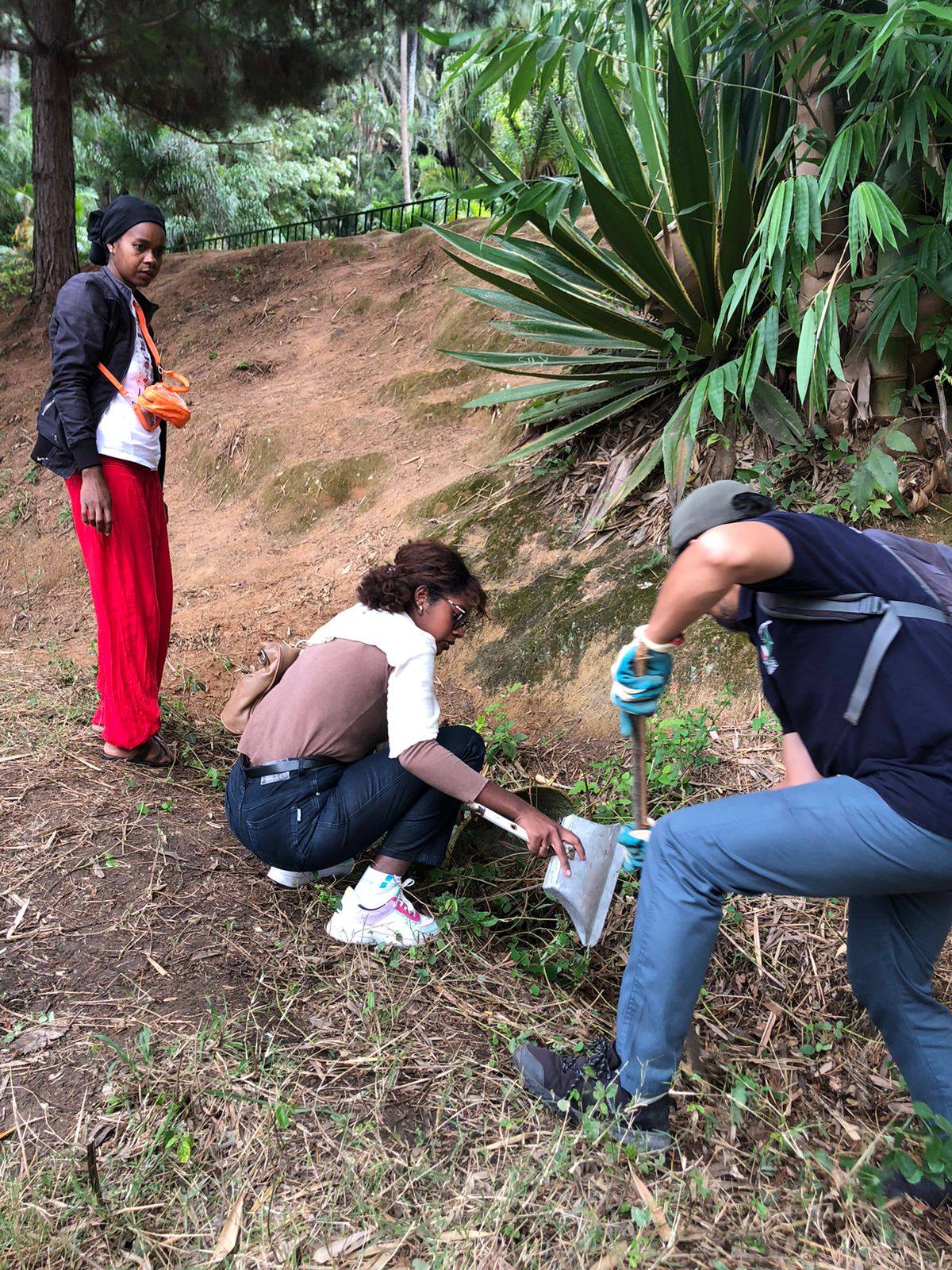 FANADIOVANA FAOBE SY FANARENANA NY PARC TSIMBAZAZA