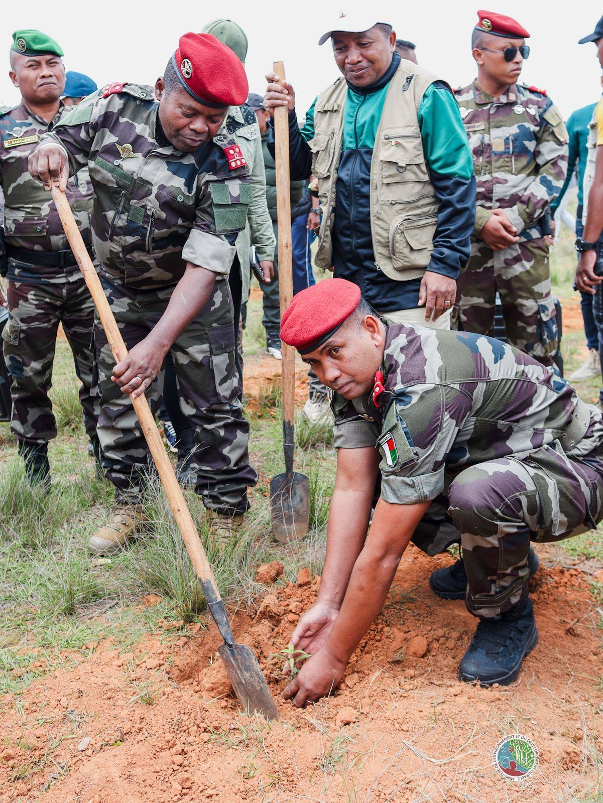 IZAY MAMBOLY HAZO MANOME AINA