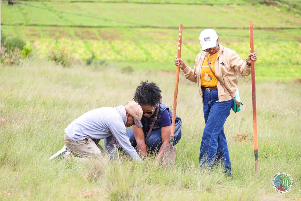 IZAY MAMBOLY HAZO MANOME AINA