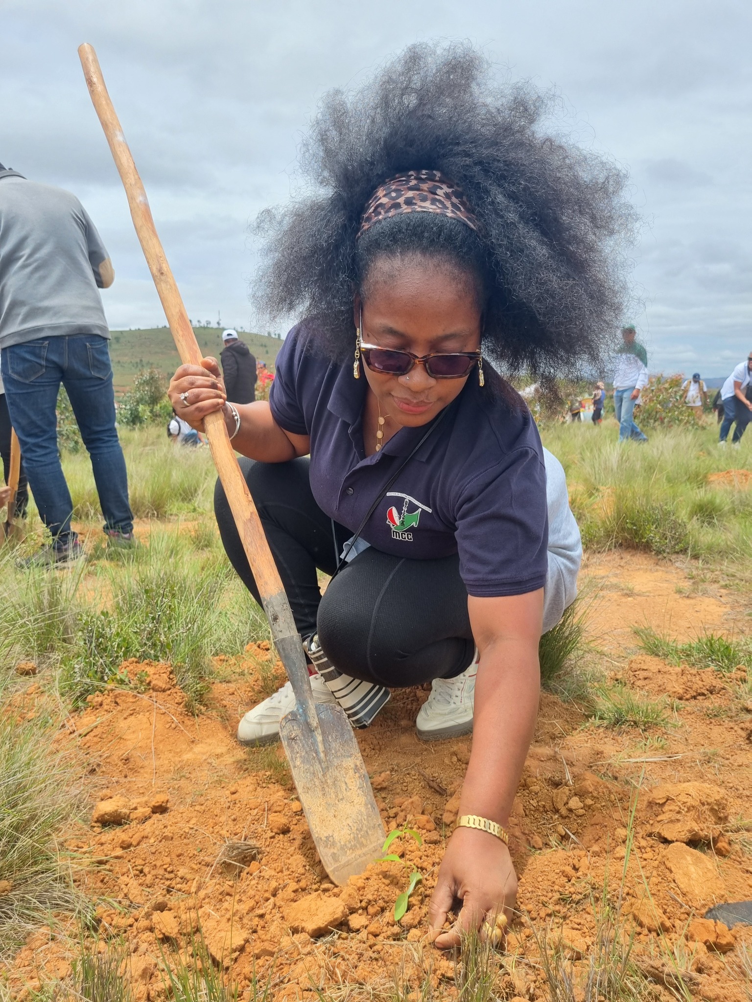 IZAY MAMBOLY HAZO MANOME AINA