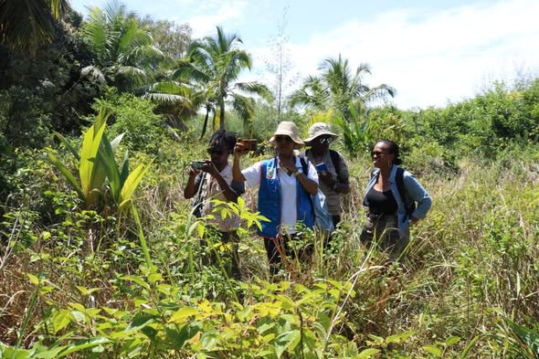 MPAHAY SY TEKNISIANA MARO NO NIARA-NIFARIMBONA NANOMANA NY MISIONA KATOLIKA  AMBODIFOTATRA.