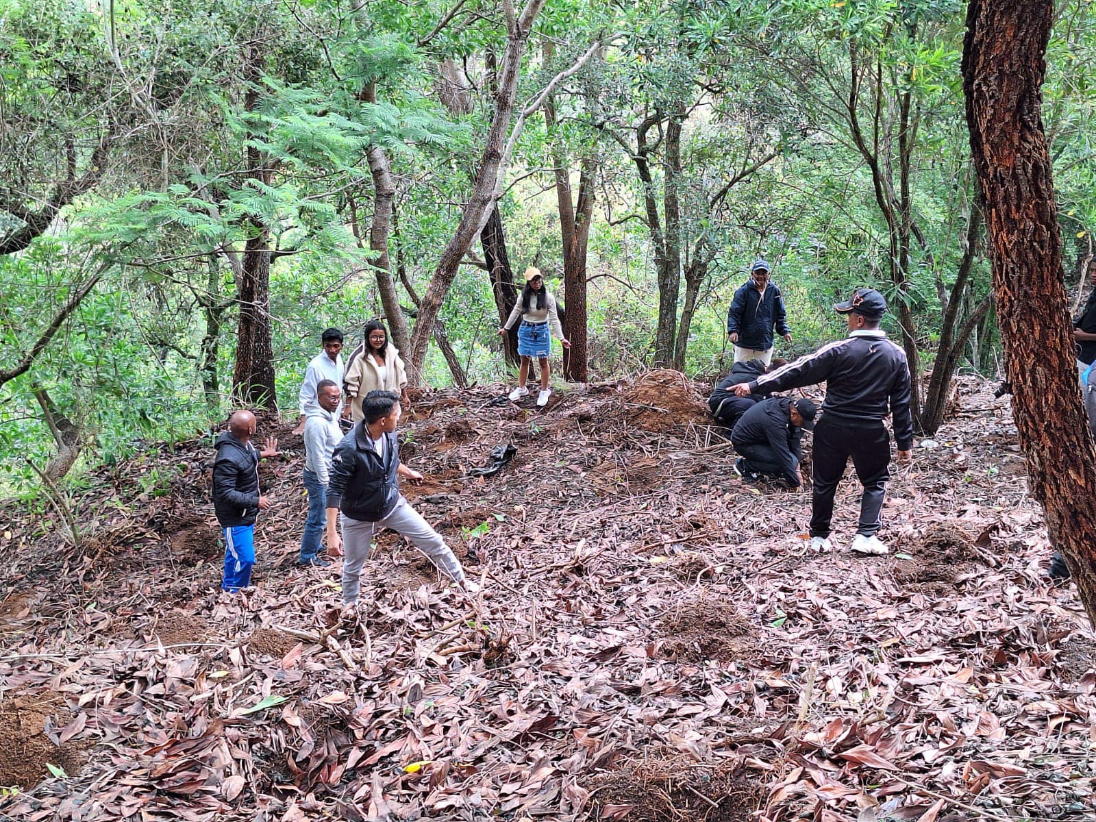 FANASOSOHANA ZANAKA HAZO NY ALAN' AMBOHIMANGA