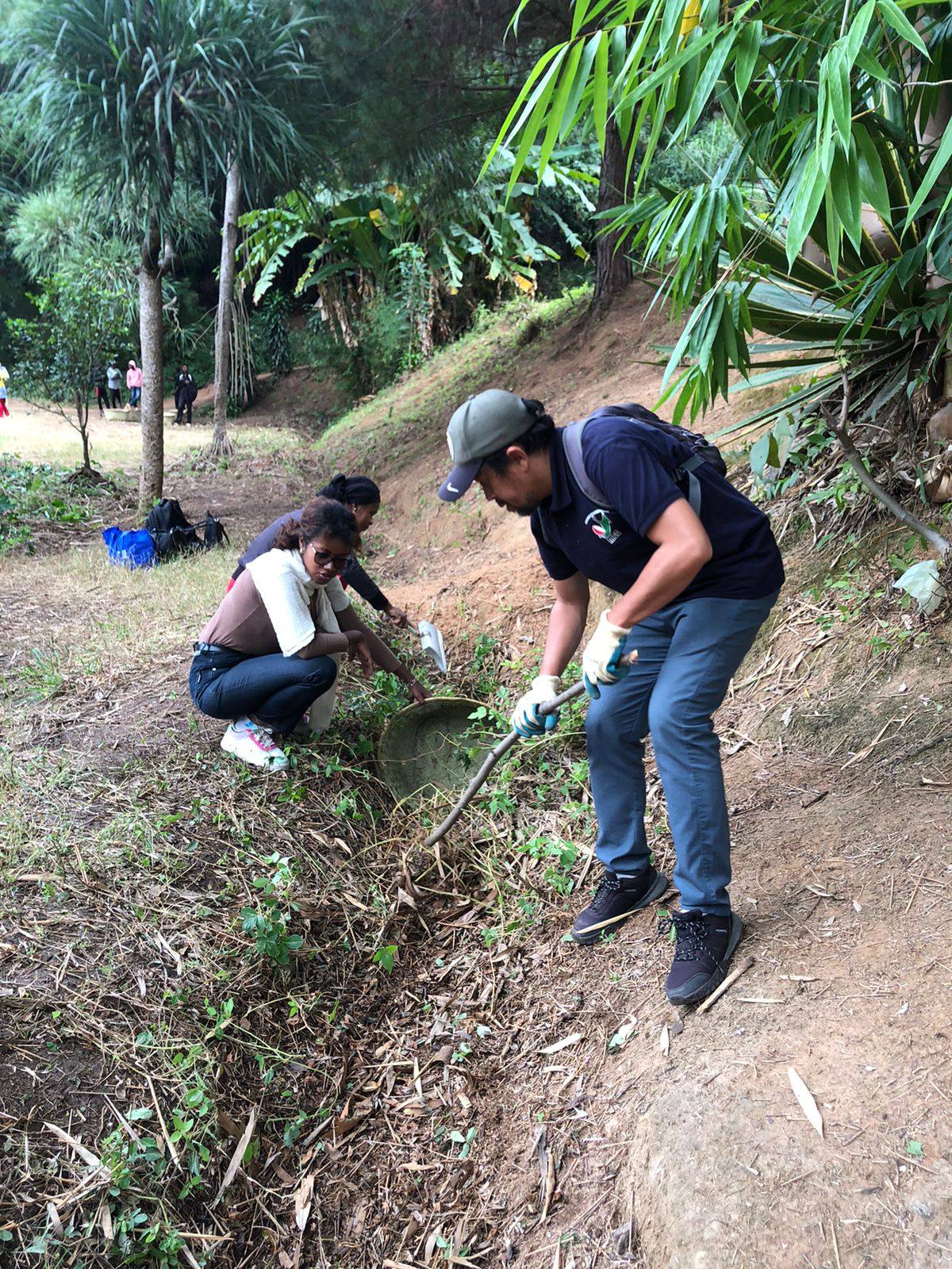 FANADIOVANA FAOBE SY FANARENANA NY PARC TSIMBAZAZA