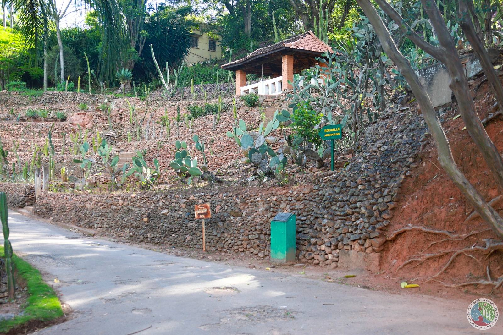 HAVAOZINA NY PARC TSIMBAZAZA