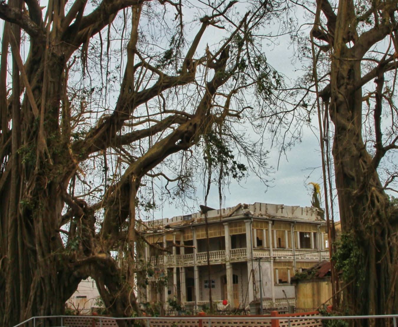 HANAO ASA FANARENANA MAIKA NY MOZEA VAVITIANA SY NY MASOVA 501 AO TOAMASINA NY MINISTERAN' NY SERASERA SY NY KOLONTSAINA TAORIAN' NY FAHASIMBANA NATERAKY NY RIVODOZA GEZANI