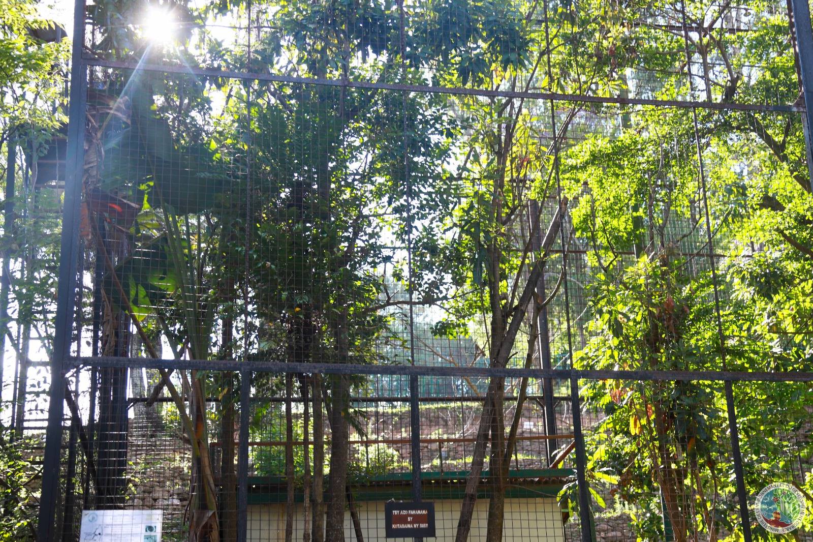 HAVAOZINA NY PARC TSIMBAZAZA